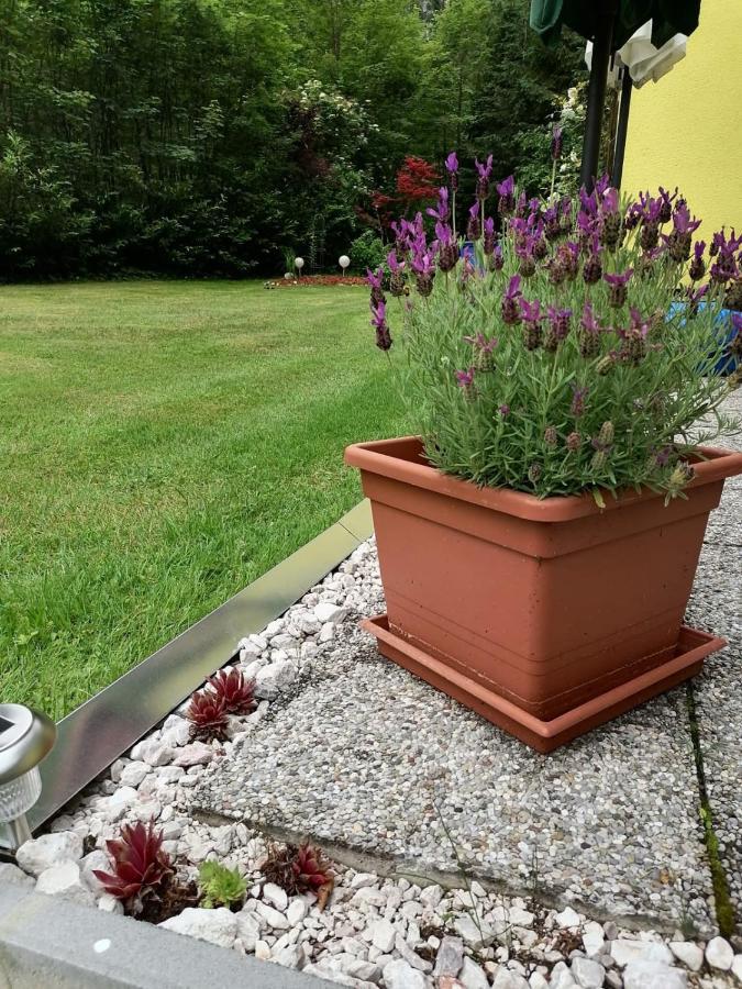 ハルシュタット Haus Waldbachヴィラ エクステリア 写真