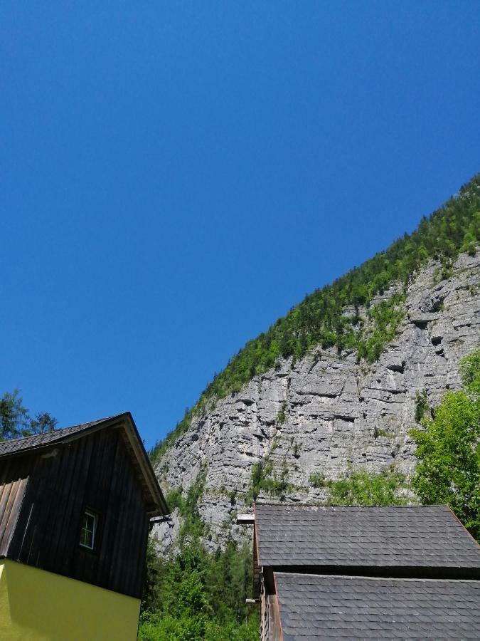 ハルシュタット Haus Waldbachヴィラ エクステリア 写真